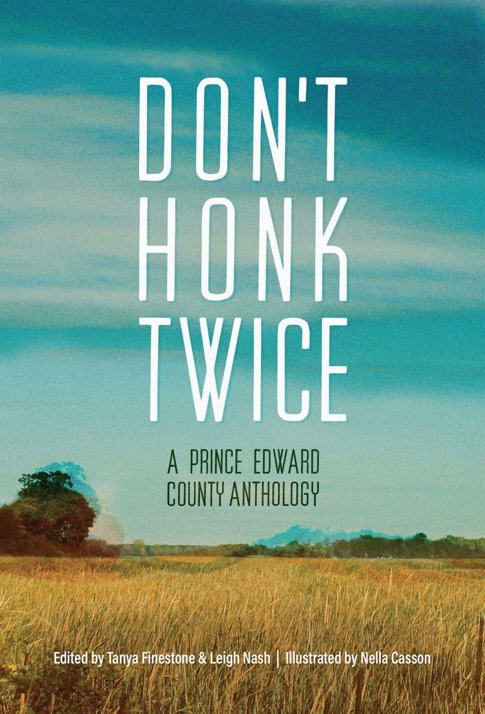 Don't Honk Twice: A Prince Edward County Anthology