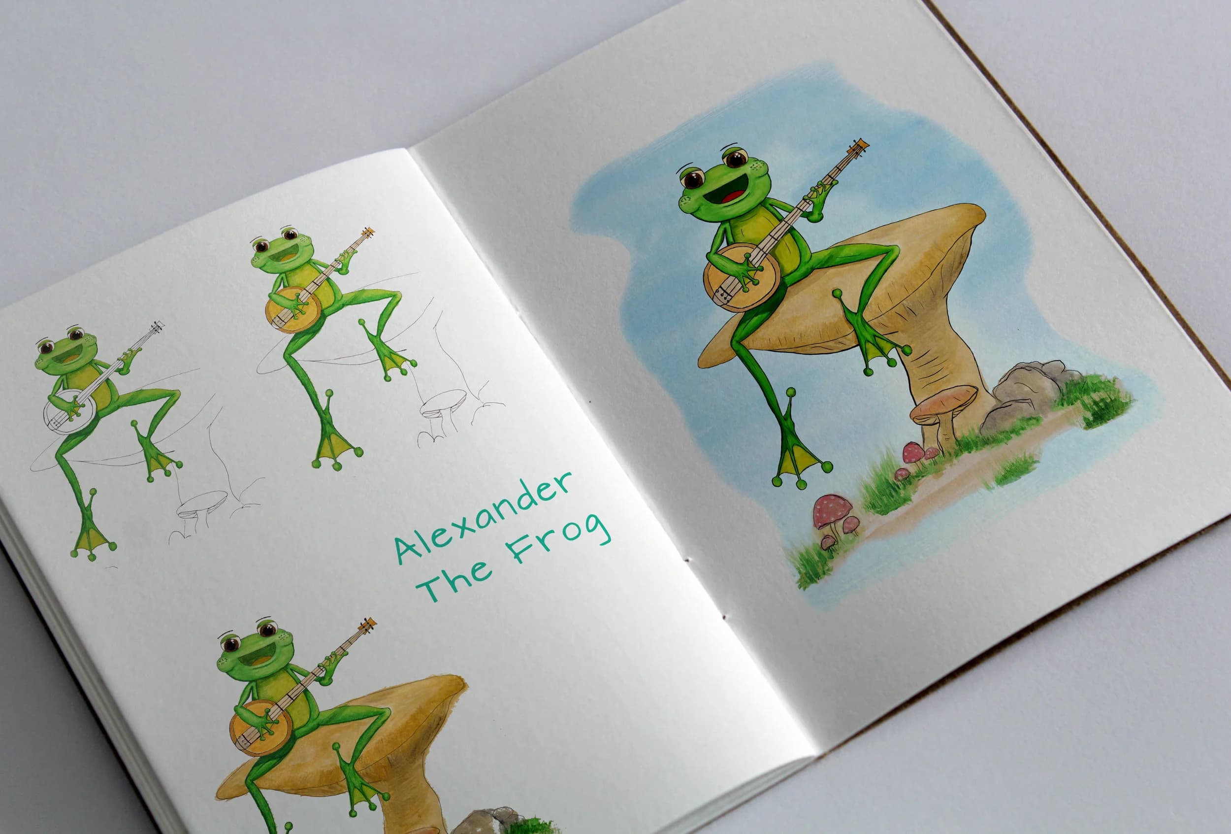 Illustration & Graphic Design