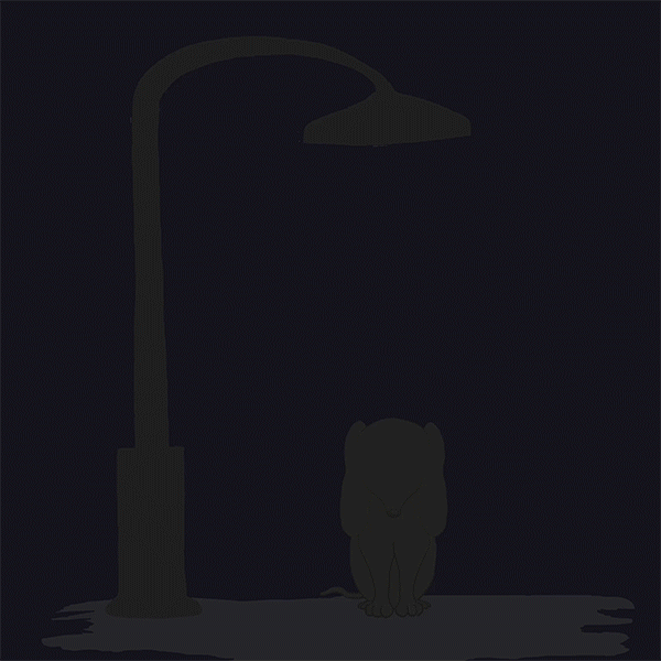Flickr animation